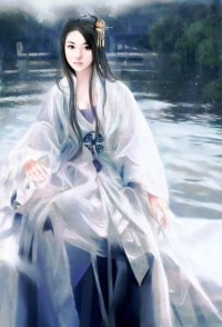 龙珠之最终守护